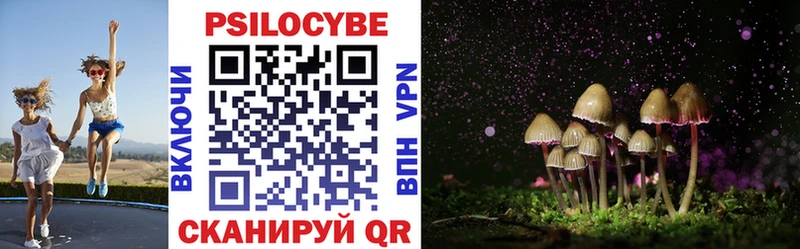 Купить закладки  Ивдель  Псилоцибиновые грибы прущие грибы 